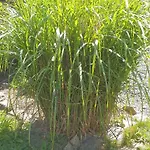 O Pres De La Lienne, De Charme, Accord Parfait Entre Confort Et Authenticite * Lierneux