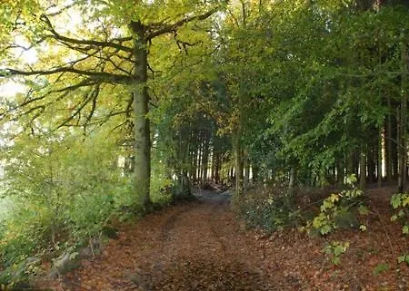 O Pres De La Lienne, De Charme, Accord Parfait Entre Confort Et Authenticite Holiday home Lierneux