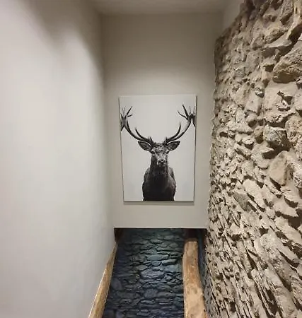 Ferienhaus O Pres De La Lienne, De Charme, Accord Parfait Entre Confort Et Authenticite Lierneux