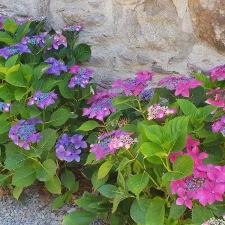 O Pres De La Lienne, De Charme, Accord Parfait Entre Confort Et Authenticite * Lierneux