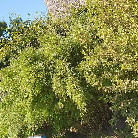 O Pres De La Lienne, De Charme, Accord Parfait Entre Confort Et Authenticite Holiday home *