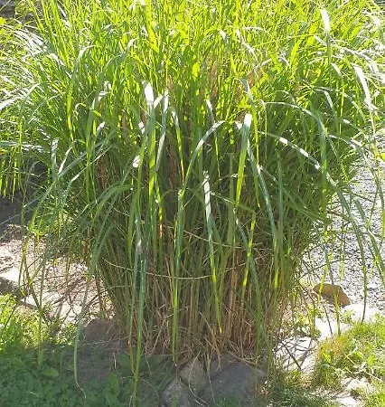 O Pres De La Lienne, De Charme, Accord Parfait Entre Confort Et Authenticite * Lierneux