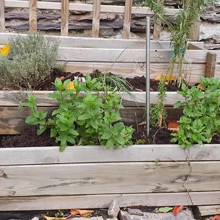 Holiday home O Pres De La Lienne, De Charme, Accord Parfait Entre Confort Et Authenticite