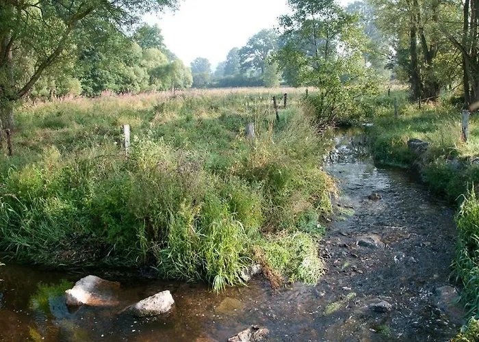 O Près De La Lienne, De Charme, Accord Parfait Entre Confort Et Authenticité * Lierneux