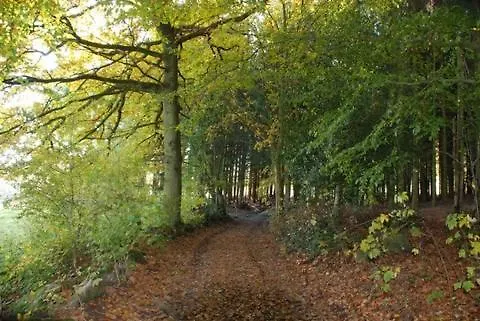 O Près De La Lienne, De Charme, Accord Parfait Entre Confort Et Authenticité Hébergement de vacances Lierneux