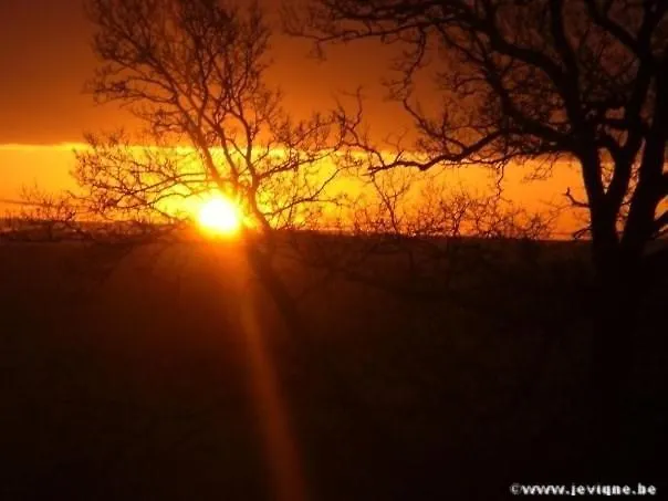Hébergement de vacances O Près De La Lienne, De Charme, Accord Parfait Entre Confort Et Authenticité Lierneux