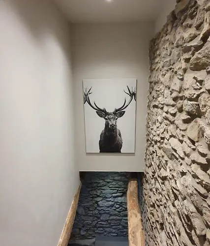 Hébergement de vacances O Près De La Lienne, De Charme, Accord Parfait Entre Confort Et Authenticité Lierneux