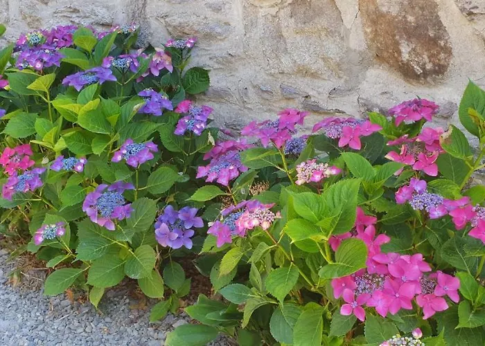 O Près De La Lienne, De Charme, Accord Parfait Entre Confort Et Authenticité * Lierneux