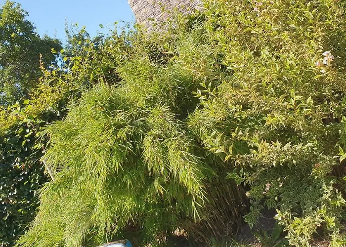 O Près De La Lienne, De Charme, Accord Parfait Entre Confort Et Authenticité Hébergement de vacances *