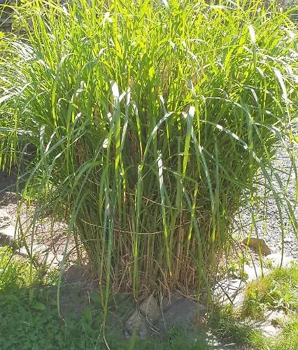 O Près De La Lienne, De Charme, Accord Parfait Entre Confort Et Authenticité * Lierneux