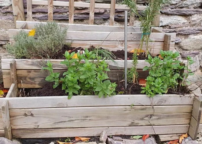 Hébergement de vacances O Près De La Lienne, De Charme, Accord Parfait Entre Confort Et Authenticité